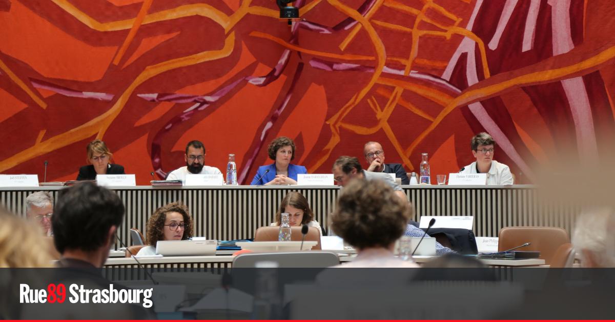 Les points votés par le conseil municipal de Strasbourg lundi 2 février
