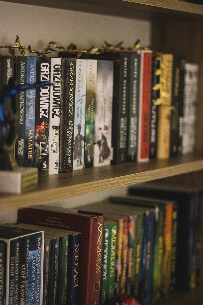 Avec l’activité « Panique dans la bibliothèque », la médiathèque de Cléon vous invite à résoudre une enquête entre les rayonnages.