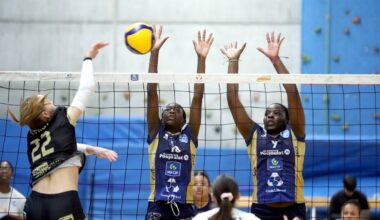 battu par Rennes, le VBP Niort peut s’en mordre les doigts