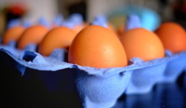 depuis dix ans, la consommation en œufs des Français a augmenté de 25 % et la production a du mal à suivre