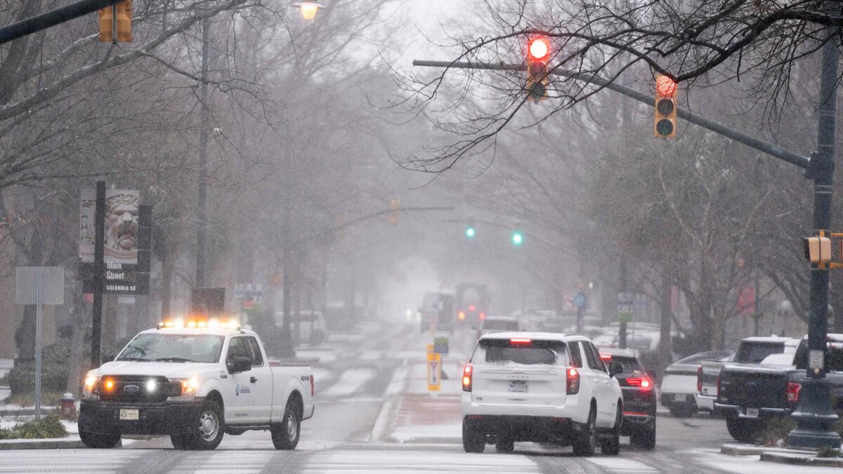 États-Unis : la tempête hivernale désorganise les transports et… fait chuter les iguanes des arbres