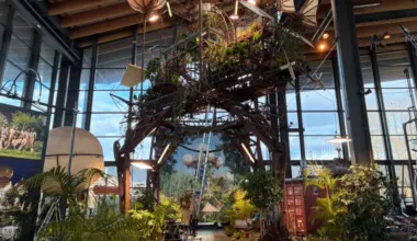 L'Aéroflorale II, ouverte samedi 7 février, comprend plus de 1.300 plantes et une serre volante géante de 15 mètres de haut. © Léna Saoui / L'Opinion Indépendante