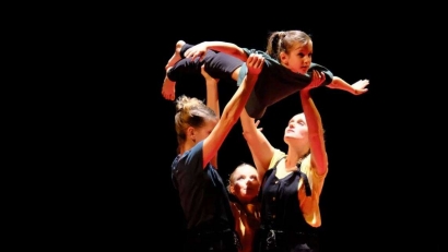 Le labyrinthe de l'oie