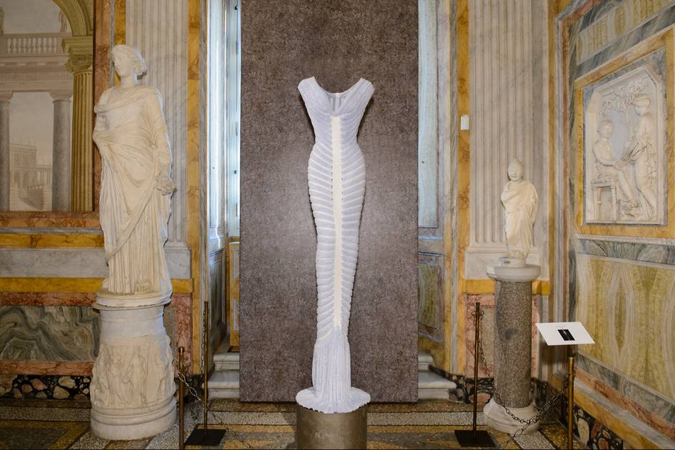 Quel avenir pour Alaïa ?