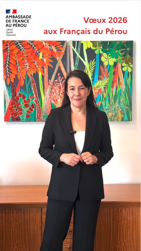 Bonne Année 2026 - La France au Pérou