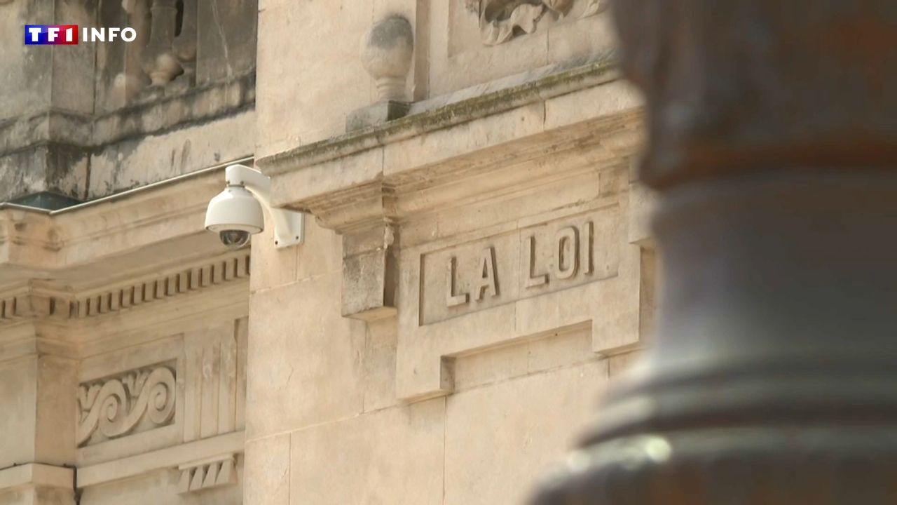 Fichiers Epstein : une Suédoise dit avoir reconnu son violeur et porte plainte à Paris