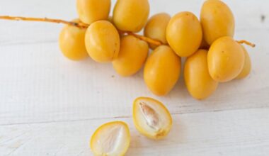 LYON : Tourisme - Dattes, champagne ou œufs crus, l'inventaire insolite des locations de vacances