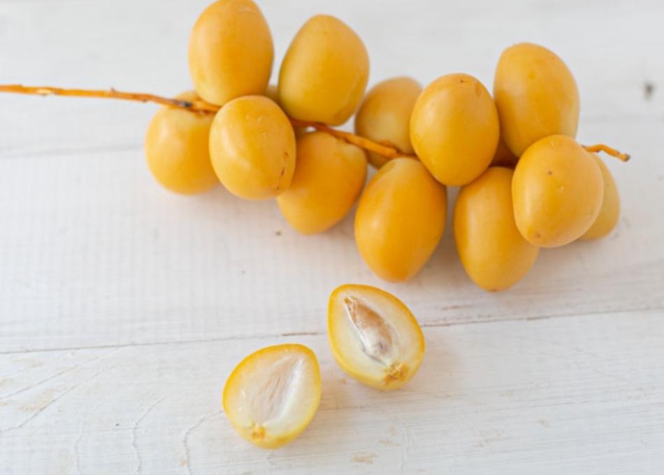 LYON : Tourisme - Dattes, champagne ou œufs crus, l'inventaire insolite des locations de vacances