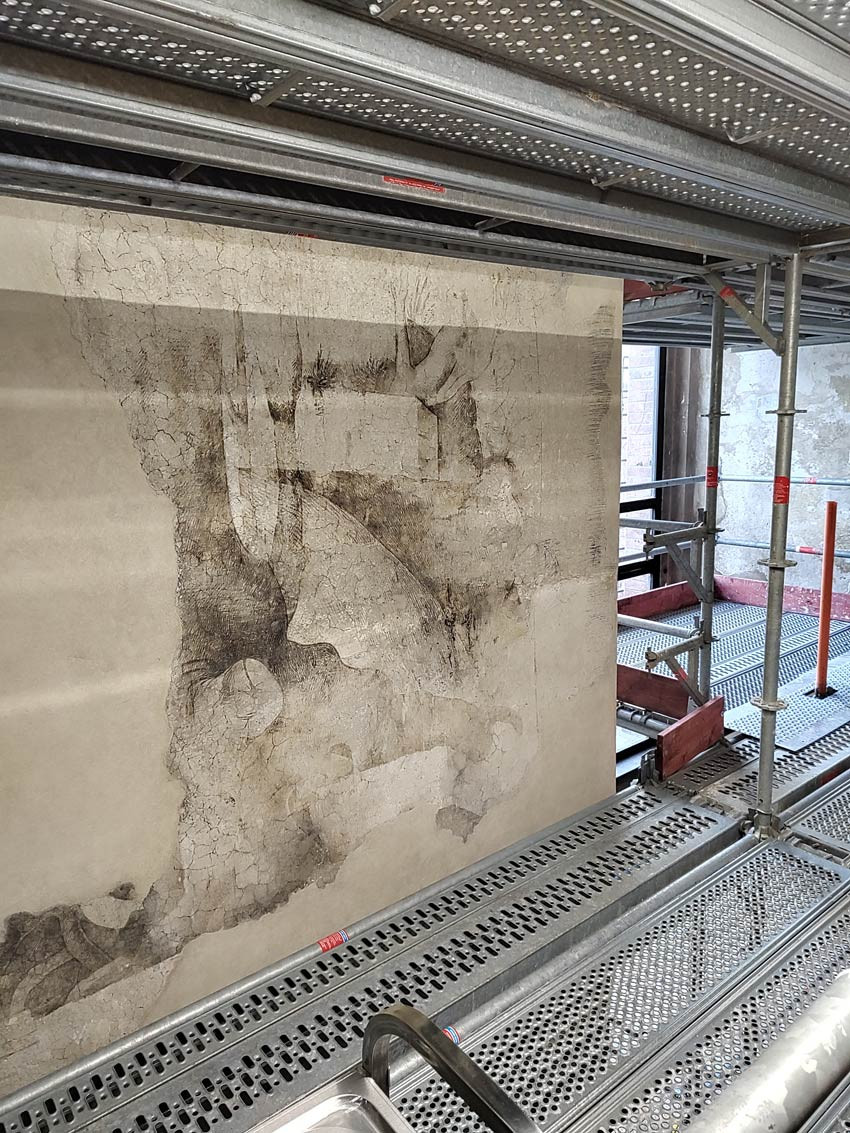 Le dessin préparatoire monochrome représentant les racines d'un arbre © Comune di Milano / Castello Sforzesco