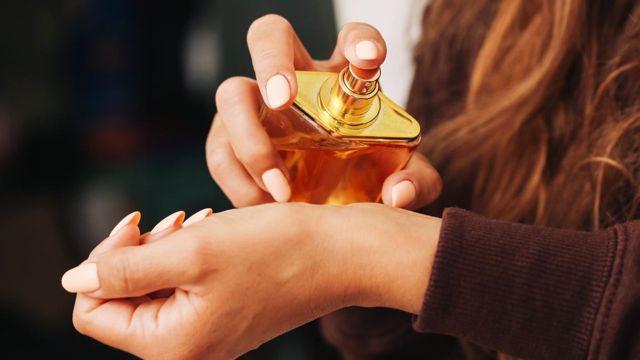 24 ans après, ils sont enfin de retour et à moins de 18 euros !