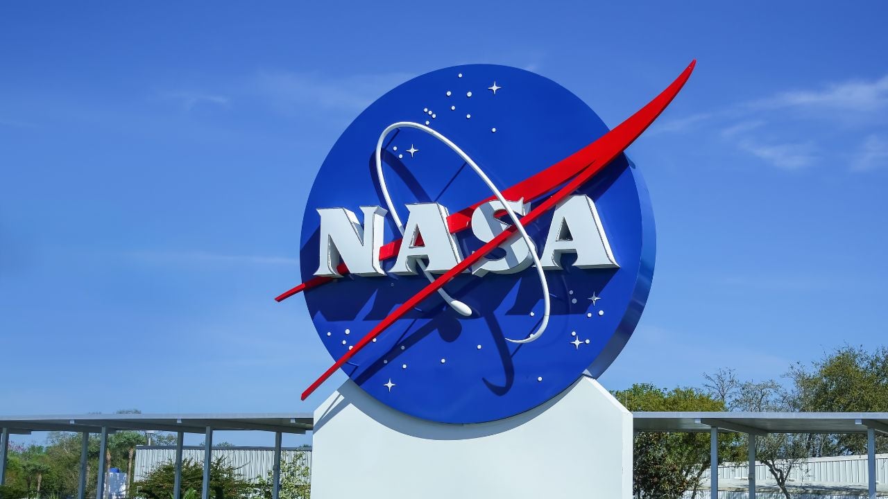 la NASA dévoile enfin le nombre exact de plantes qu'il faut par pièce pour purifier l'air