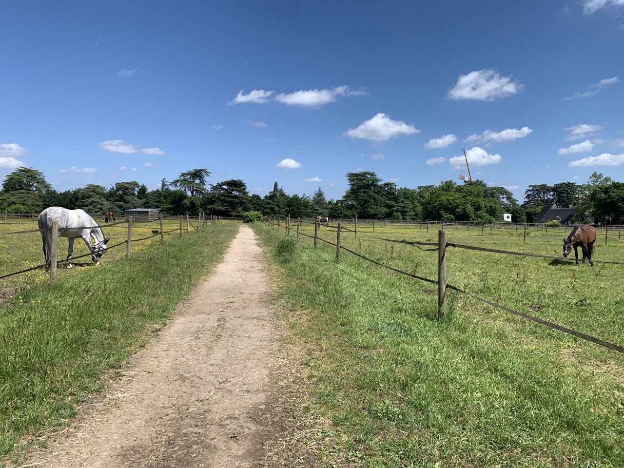 dans les Yvelines, quelles sont les communes au top ?