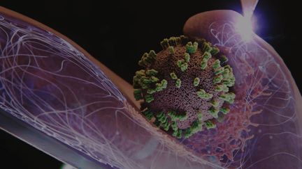 Image du virus de la grippe prise par le microscope ViViD-AFM. (Capture d'écran (Emma Hyde / ETH Zürich))