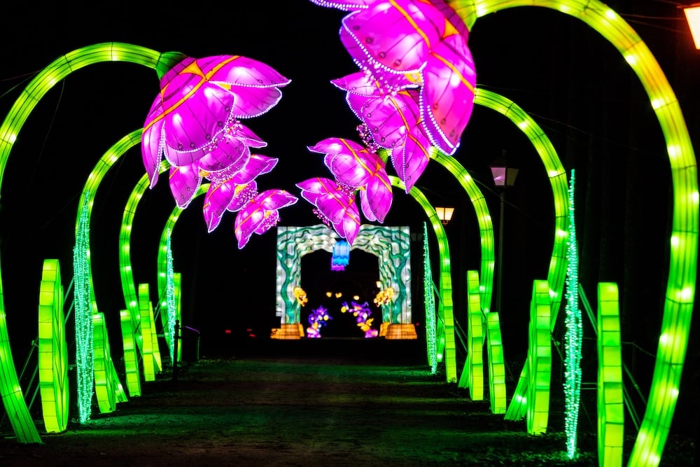 lanternes-castel-novel