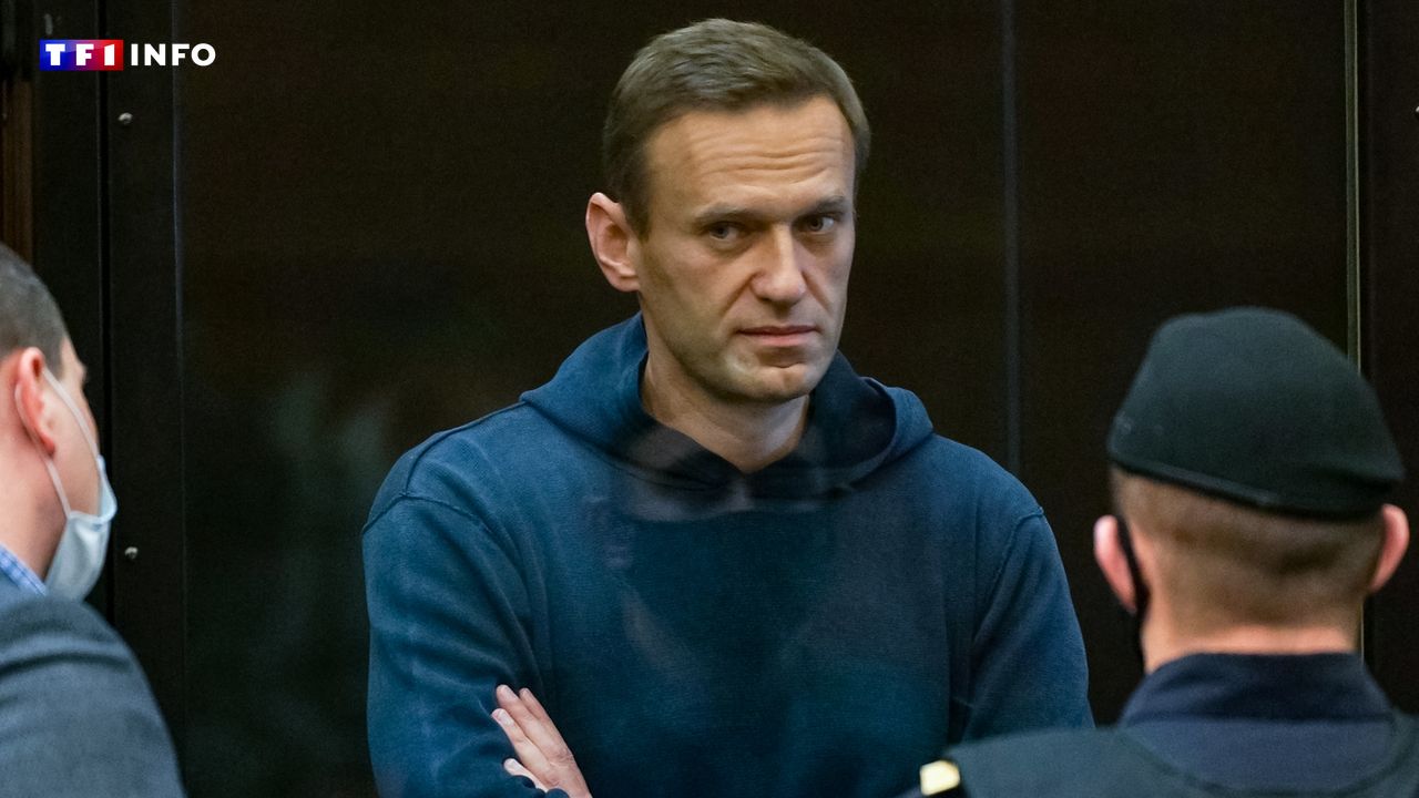 Alexeï Navalny : l'opposant empoisonné par la Russie avec une "toxine rare", une mort qui en rappelle d'autres