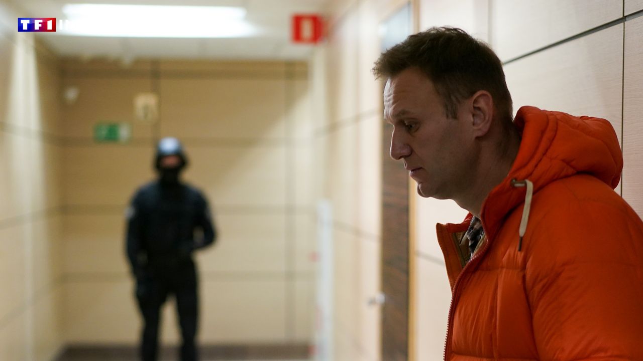 Mort d'Alexeï Navalny : qu'est-ce que l'épibatidine, cette toxine prélevée sur le corps de l'opposant russe ?