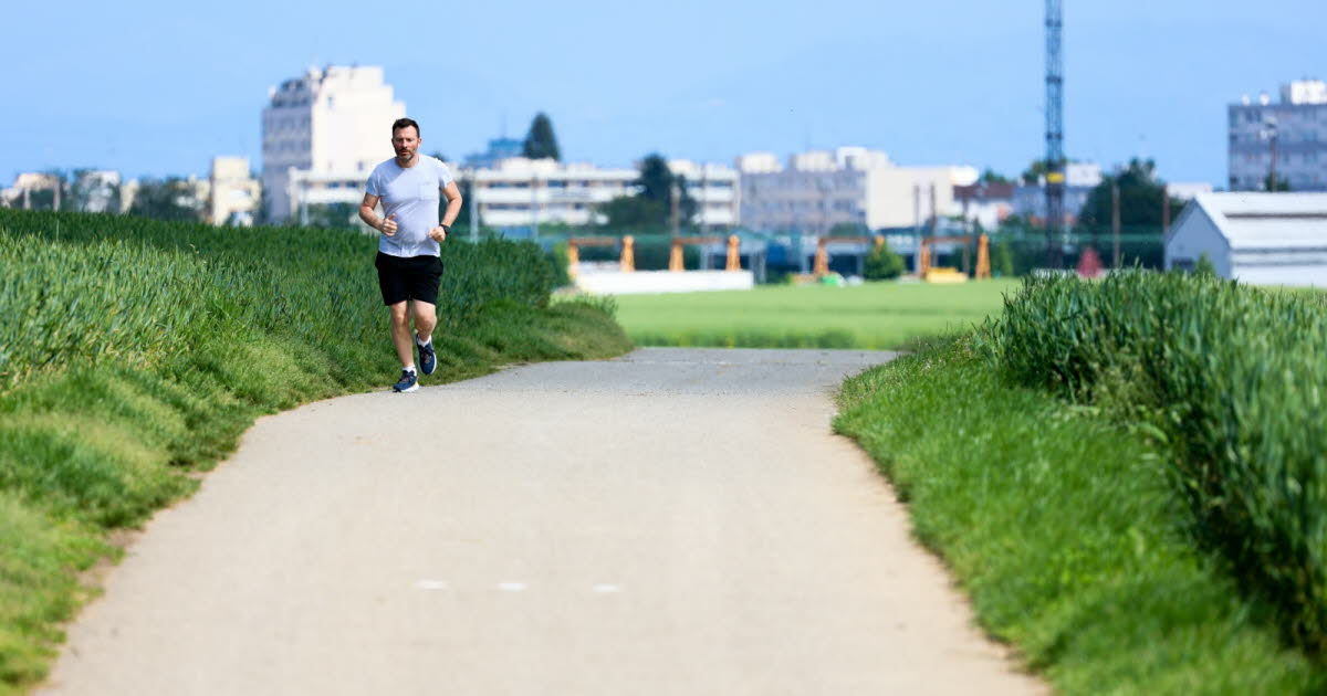 Alsace. Où fait-il bon vivre dans la région en 2026 ? Strasbourg, Colmar et… Niederhausbergen en tête