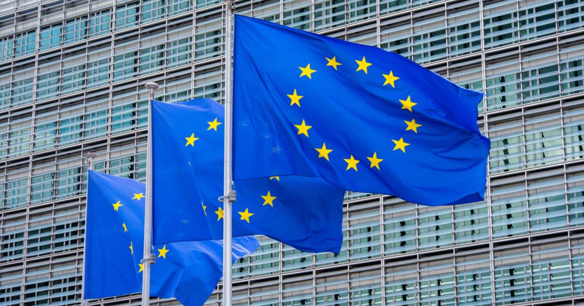 Strasbourg. Pratiques illicites en adoption internationale, des répercussions sur les familles