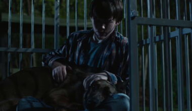 Seules les personnes insensibles ne pleureront pas devant ce film Netflix jamais sorti au cinéma