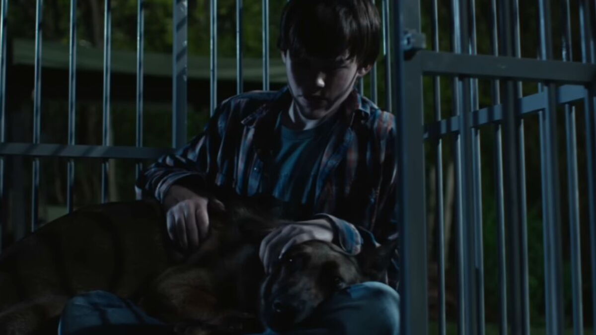 Seules les personnes insensibles ne pleureront pas devant ce film Netflix jamais sorti au cinéma