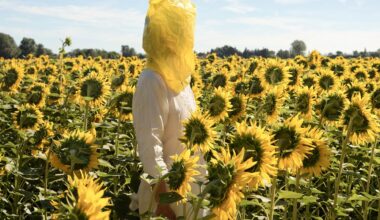 Elina Brotherus, « Portrait Series (Gelbe Musik with Sunflowers) » de la série The Baldessari