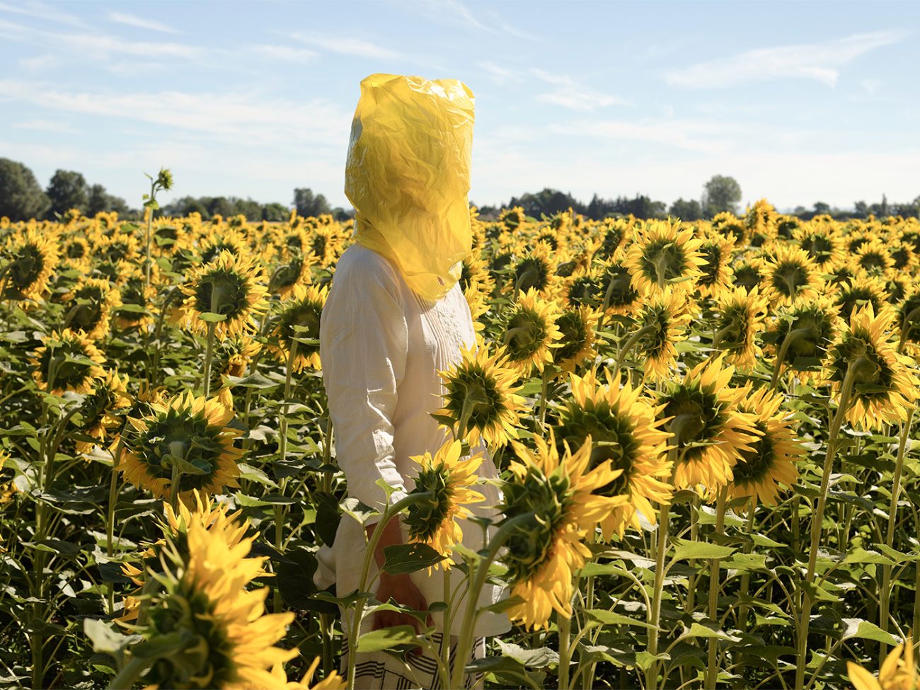Elina Brotherus, « Portrait Series (Gelbe Musik with Sunflowers) » de la série The Baldessari
