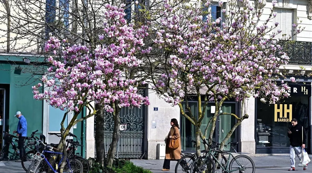 Printemps 2026 : météo clémente, 2e tour des élections, ce qui vous attend cette fin de