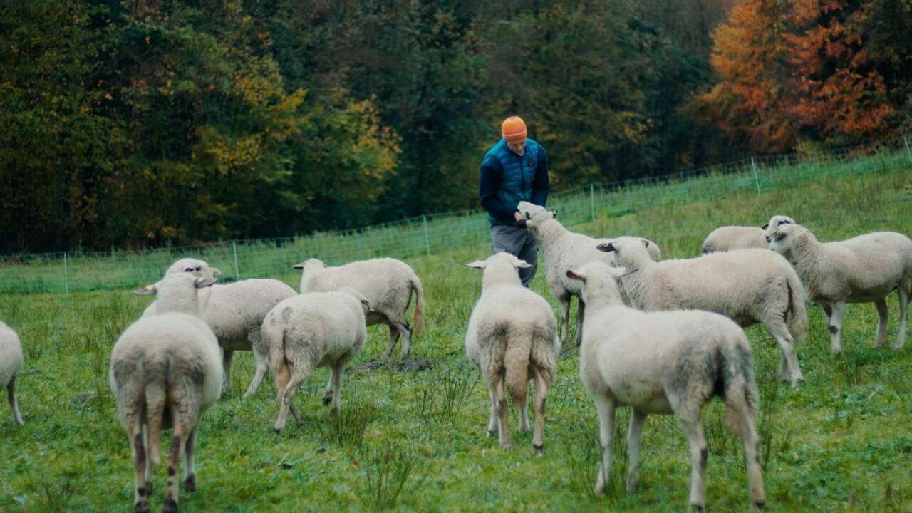 Un documentaire raconte la lutte d’un néopaysan pour trouver des terres agricoles