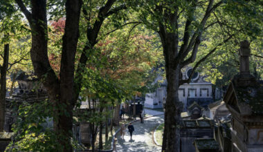 Au Père-Lachaise, la biodiversité reprend ses droits à la faveur d'une politique écologique volontariste - Reportage France