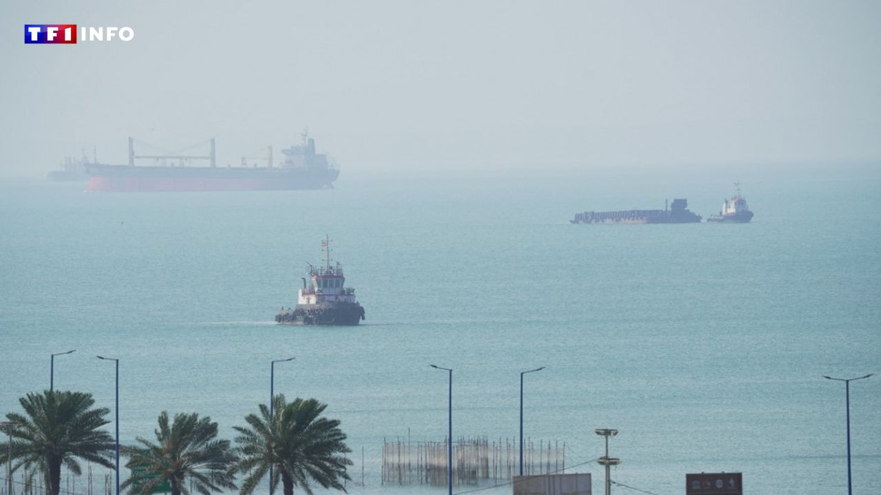 Guerre au Moyen-Orient : frappes du Hezbollah, navires chinois... Le résumé du jeudi 14 mai
