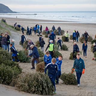 Sur la plage du Portel, le 17 janvier. Des centaines de sapins sont acheminés vers la dune pour la renforcer.