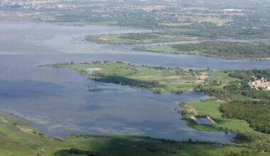 Lac de Grand-Lieu : deux associations veulent déposer un recours contre l’État