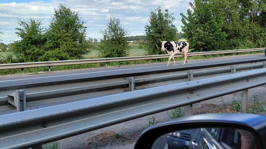 Complètement improbable, la photo a été prise à 19 h 16, mardi 30 juin.