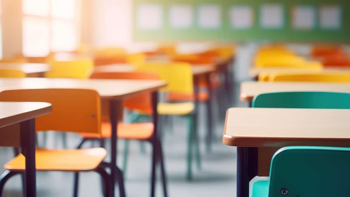 L’Algérie remplace l’anglais par le français au primaire : l’avis d’un spécialiste