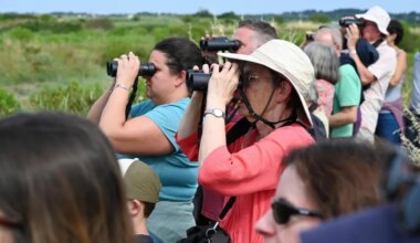 Observer les oiseaux, activités sportives, jeux en plein air… Cinq idées de sorties pour ce