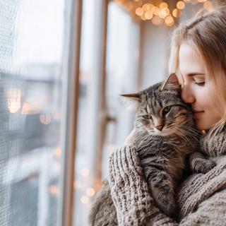 Le simple fait de caresser un chat pourrait déclencher dans le cerveau humain une hormone liée à l’attachement et à l’apaisement. © gpointstudio, Adobe Stock.