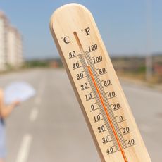 Le thermomètre va grimper...
