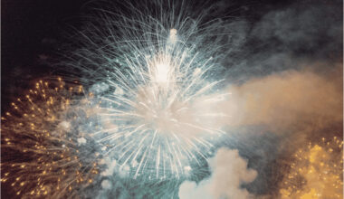 Feux d'artifice du 14 juillet : les vétérinaires alertent sur cette erreur que font la majorité des propriétaires de chiens et chats