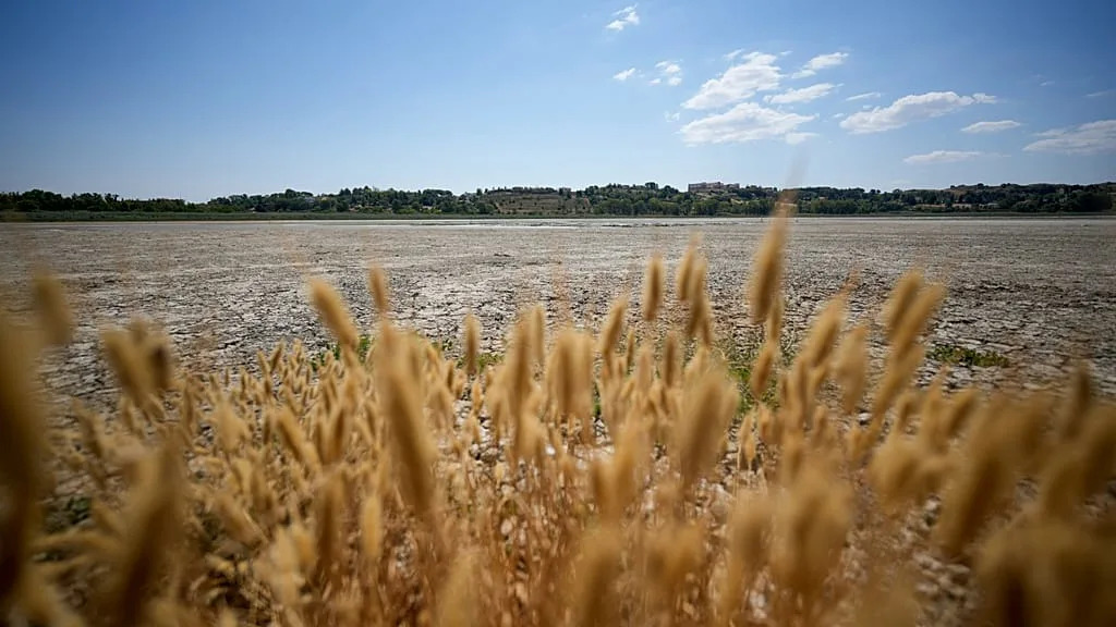 Étés brûlants: en Europe, la chaleur plus que le manque de pluie provoque les sécheresses