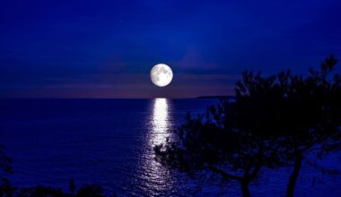 La Pleine Lune du Cerf du 29 juillet 2026 va pousser ce signe à tourner une page importante