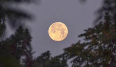 Pleine Lune du Cerf du 29 juillet 2026 : ce signe astrologique pourrait voir ses projets prendre un tournant inattendu