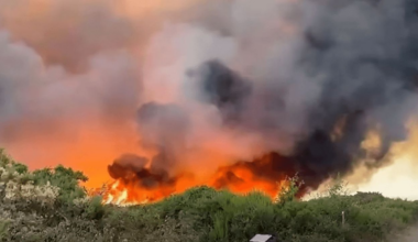 Plus de 200 hectares ravagés par les flammes au sud de Rennes, des habitants évacués
