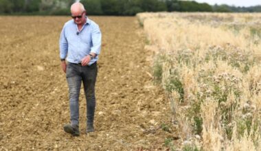 Au Royaume-Uni, la sécheresse des terres agricoles menace la sécurité alimentaire : Actualités