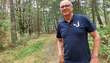 « On n’a pas attendu les incendies pour réagir » : la filière bois en Bretagne développe une stratégie pour une forêt résiliente face au climat