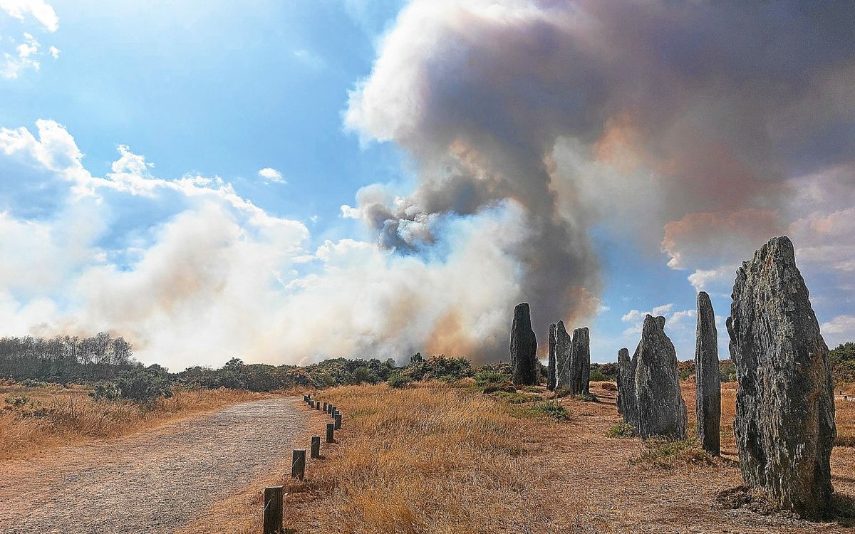 Après l’incendie en Ille-et-Vilaine, l’accès aux forêts limité : voici ce qui devient interdit