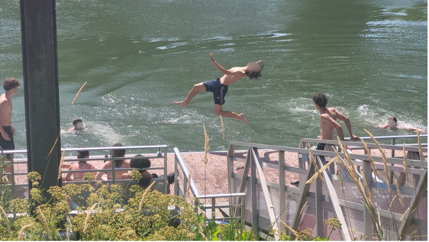 En juin 2026, des adolescents piquent une tête dans la Seine, au niveau de l’île Lacroix, malgré l’interdiction.