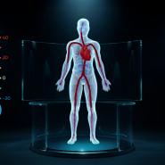Au-delà de 30 degrés, le cœur doit pomper plus de sang pour permettre à l’organisme de se réguler, ce qui use notre système cardiovasculaire plus vite.