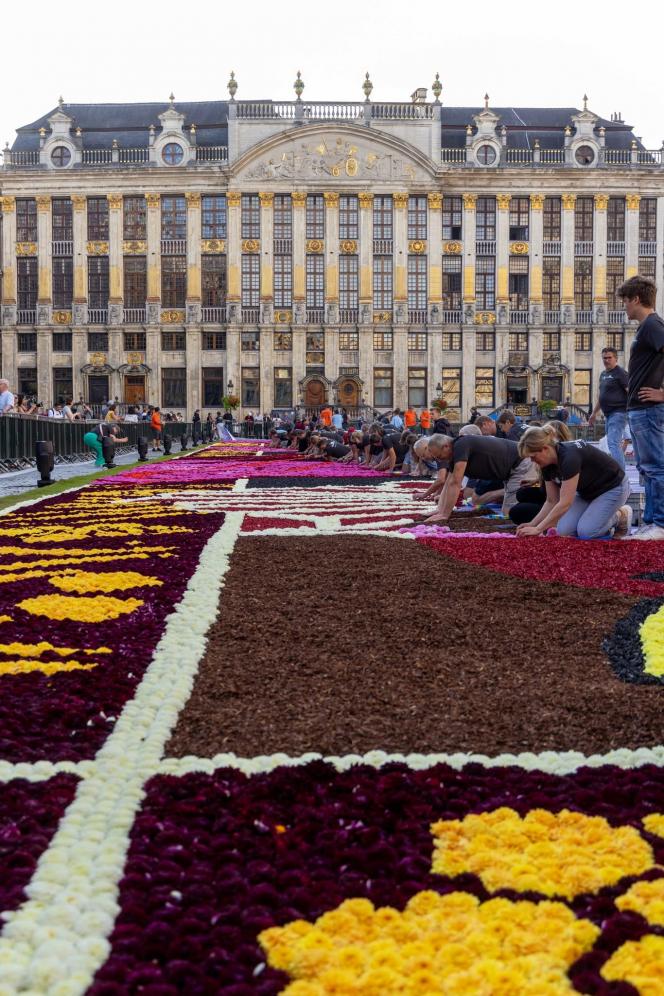 A Bruxelles, la 24e édition du Tapis de fleurs reproduit une estampe japonaise avec des milliers de dahlias et de bégonias.