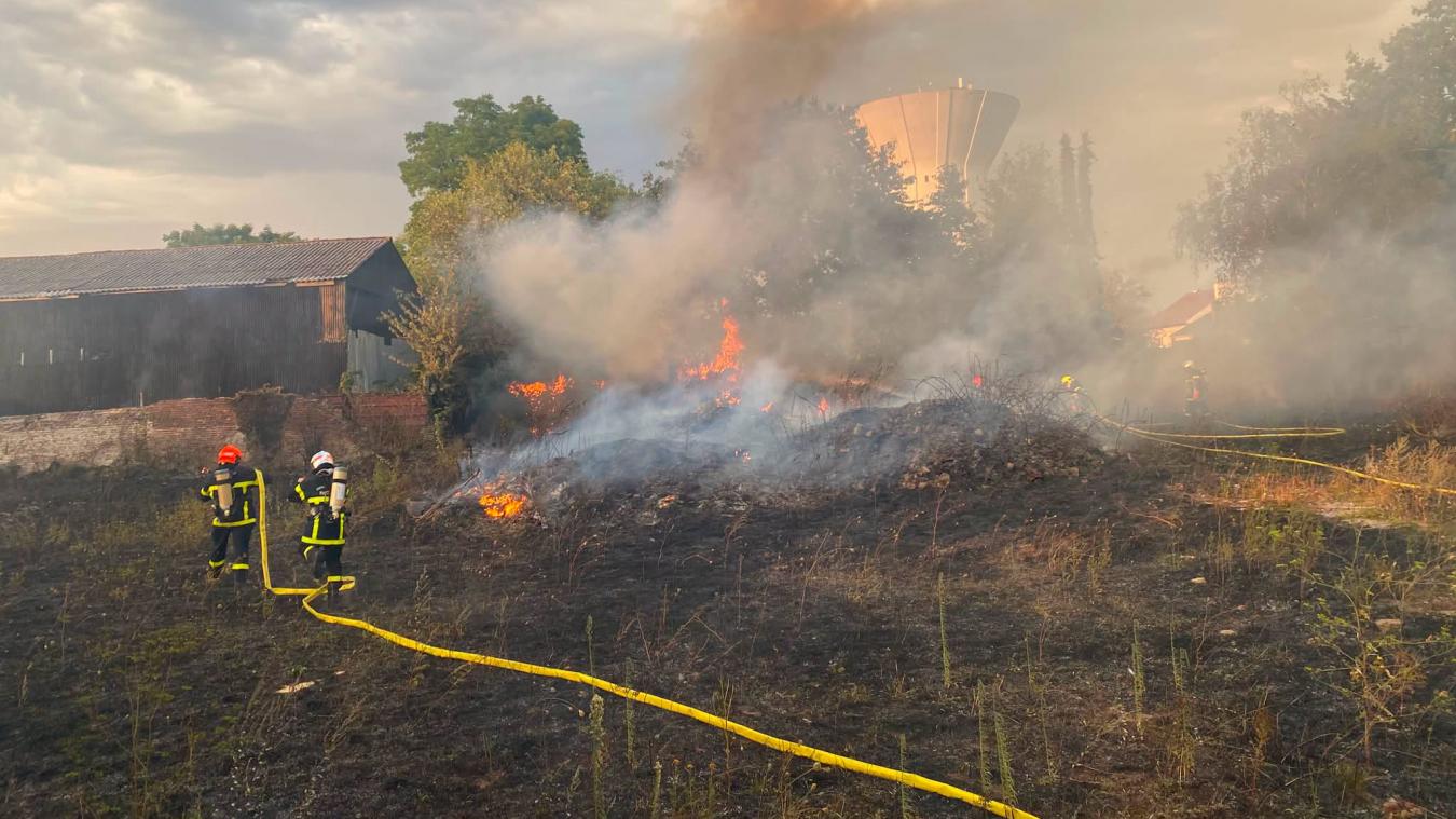 Incendie à Béthune : 4 000 m2 de végétation en feu rue de Lille, derrière la friterie Pépito