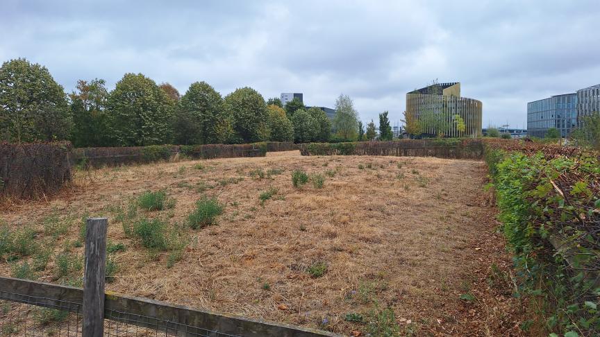 Autour du caniparc du parc des Dondaines, vers le casino, dealers, toxicomanes et prostituées se sont installés.